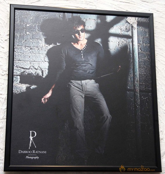 Celebs on Dabboo Ratnani's 2013 Calendar