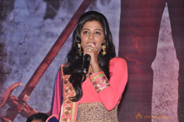 Chandi Movie Platinum Disk Function Photos