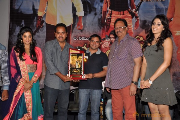 Chandi Movie Platinum Disk Function Photos