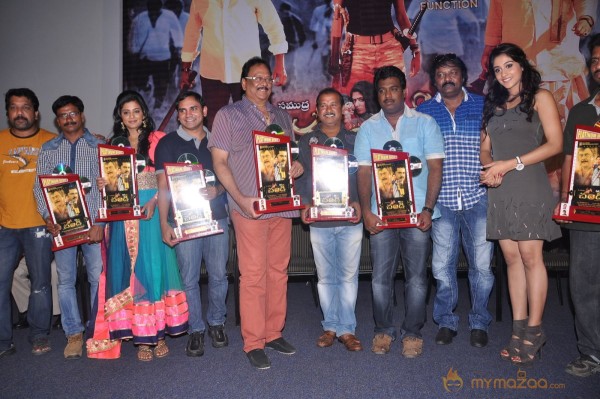 Chandi Movie Platinum Disk Function Photos