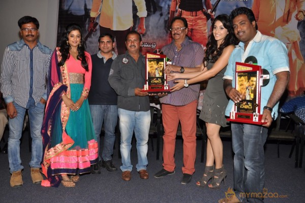 Chandi Movie Platinum Disk Function Photos