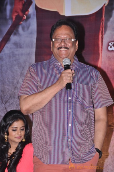 Chandi Movie Platinum Disk Function Photos