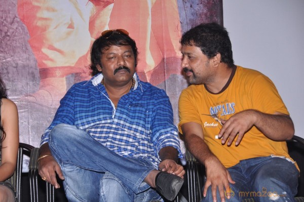 Chandi Movie Platinum Disk Function Photos