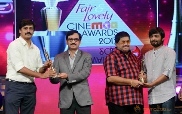 CineMAA Award 2013 Function Photos