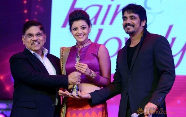 CineMAA Award 2013 Function Photos