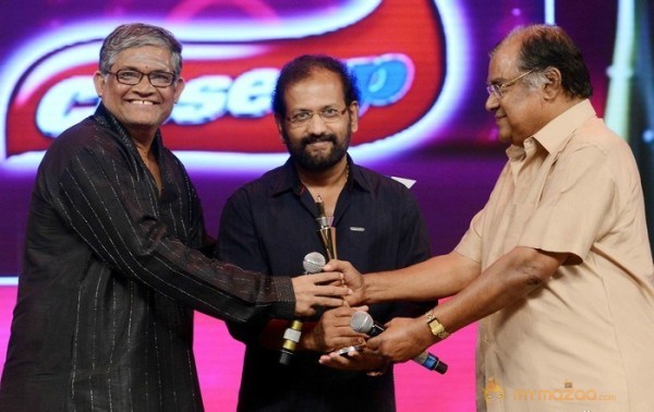 CineMAA Award 2013 Function Photos