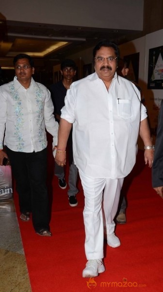 CineMAA Awards 2016  Photos ( Set -2 )