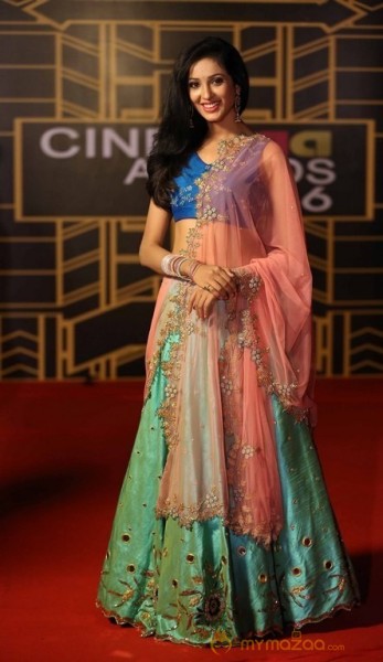 CineMAA Awards 2016  Photos ( Set -2 )