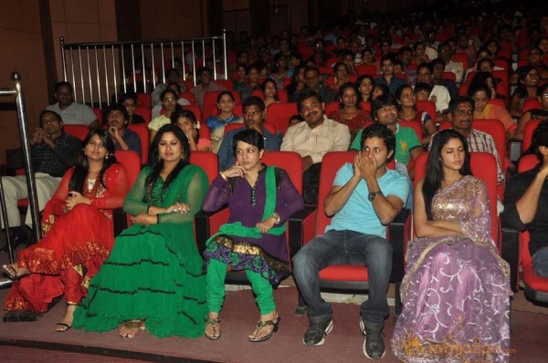 Cinemaa Mahila Awards 2013 Photos