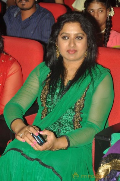 Cinemaa Mahila Awards 2013 Photos