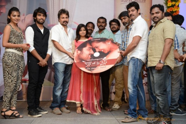 Coffee With My Wife Audio Launch Photos