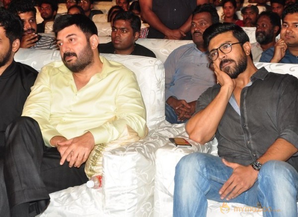 Dhruva Pre Release Function - Photos - set - 1 | Ram Charan