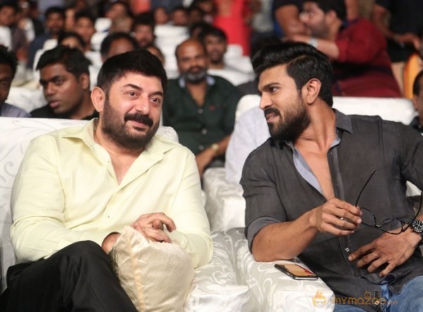 Dhruva Pre Release Function - Photos - set - 2 | Ram Charan