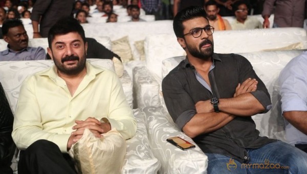 Dhruva Pre Release Function - Photos - set - 2 | Ram Charan