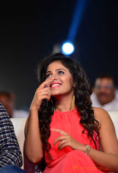  Dictator Movie Audio Launch 