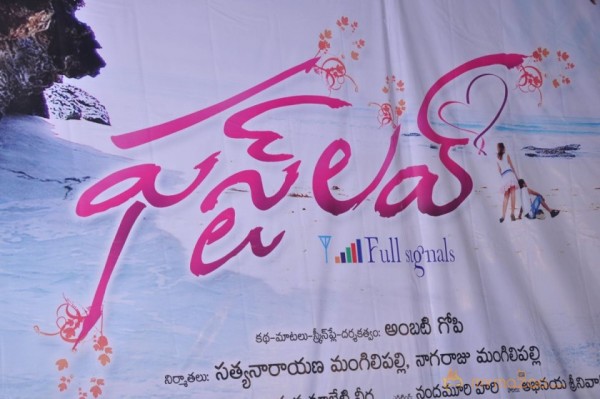 First Love Movie Audio Launch Photos