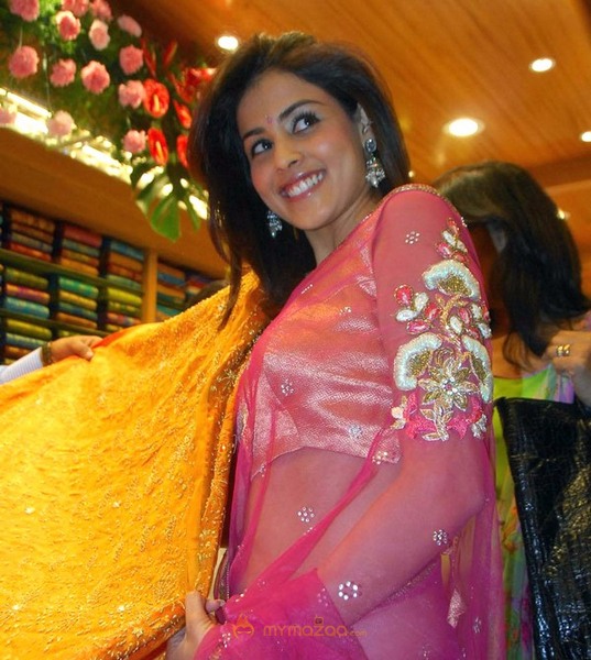 Genelia New Photo Stills In Saree