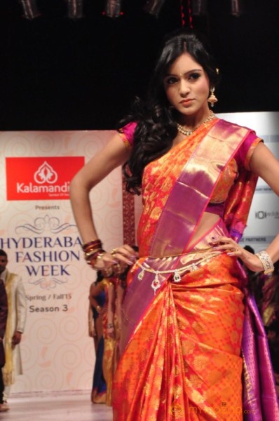 Hyderabad Fashion Week 2013 Day3 Photos