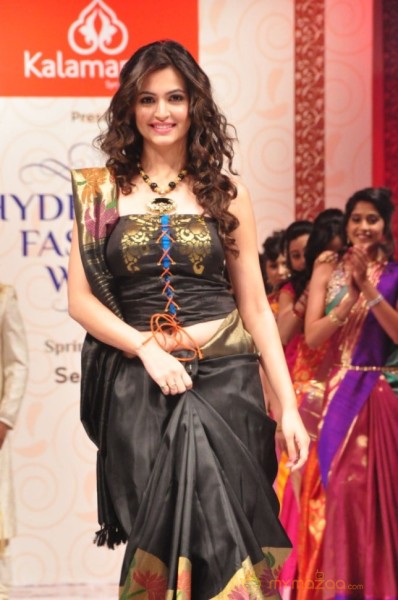 Hyderabad Fashion Week 2013 Day3 Photos