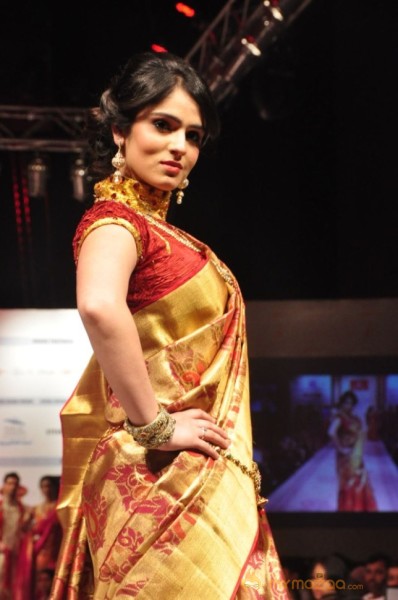 Hyderabad Fashion Week 2013 Day3 Photos