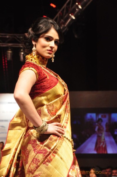 Hyderabad Fashion Week 2013 Day3 Photos