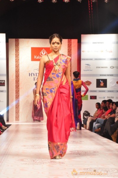 Hyderabad Fashion Week 2013 Day3 Photos