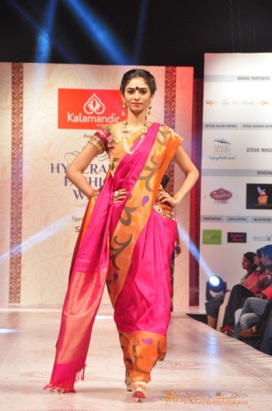 Hyderabad Fashion Week 2013 Day3 Photos