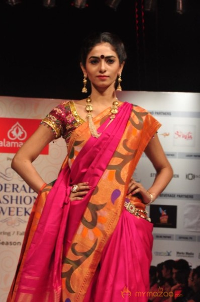 Hyderabad Fashion Week 2013 Day3 Photos