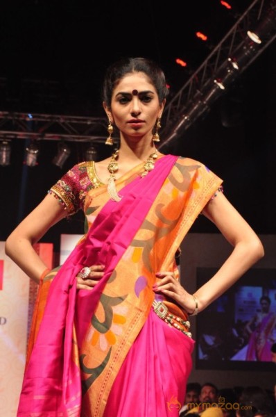 Hyderabad Fashion Week 2013 Day3 Photos