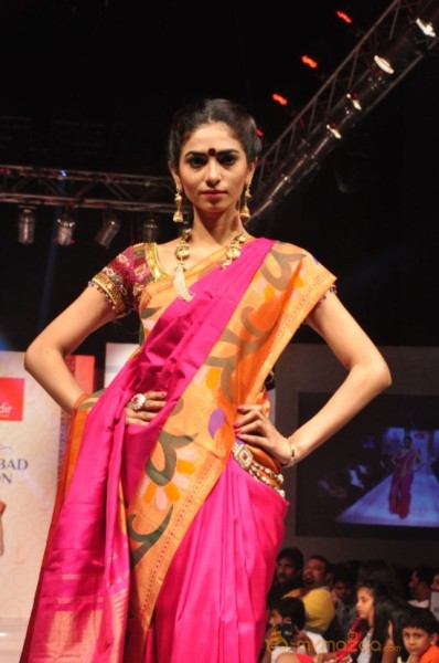 Hyderabad Fashion Week 2013 Day3 Photos