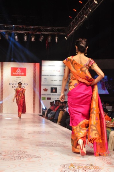 Hyderabad Fashion Week 2013 Day3 Photos