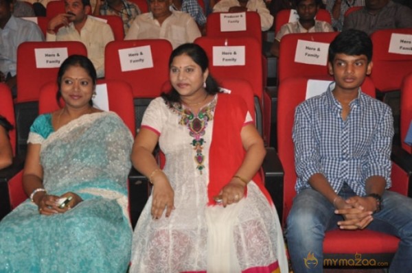 Iddarammayilatho Audio Launch Photos