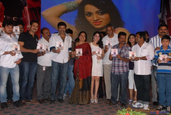 Jai Sriram Movie Audio Launch Gallery 