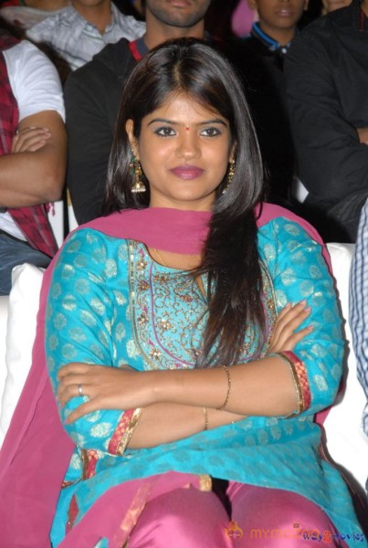 Jai Sriram Movie Audio Launch Gallery 