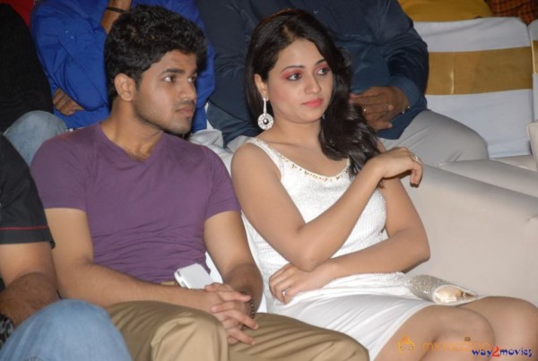 Jai Sriram Movie Audio Launch Gallery 