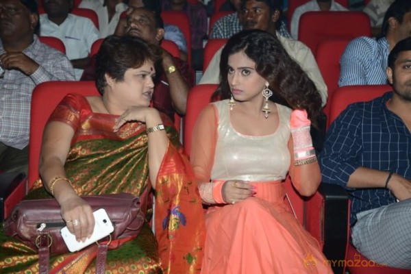 Mahesh Movie Audio Launch Photos