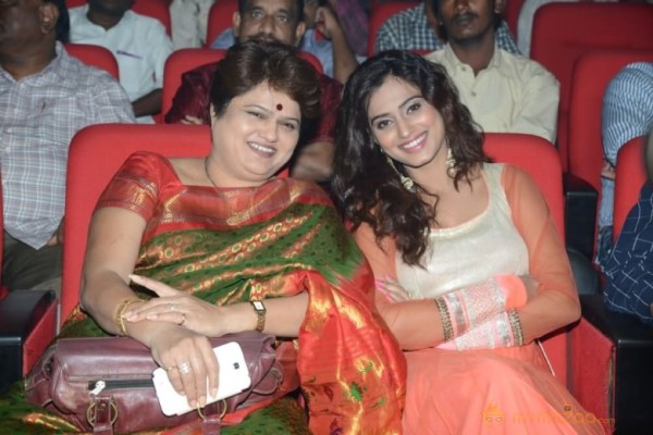 Mahesh Movie Audio Launch Photos