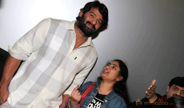 Mirchi Success Meet In US Photos