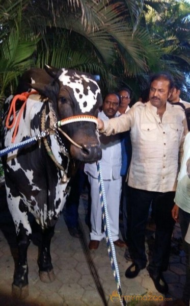 Mohan Babu visited Bull Show Event Stills