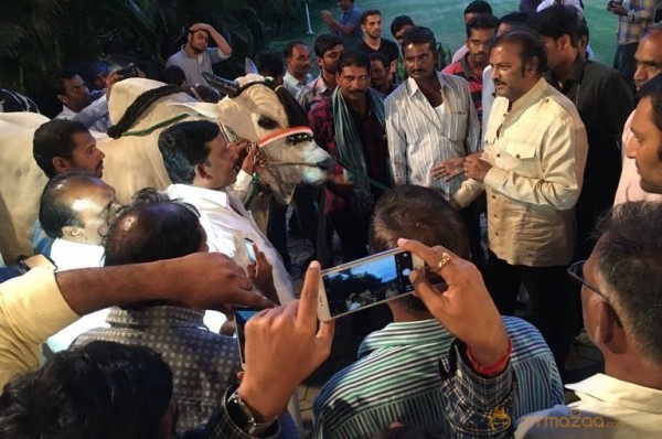 Mohan Babu visited Bull Show Event Stills