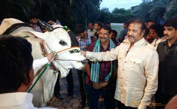 Mohan Babu visited Bull Show Event Stills