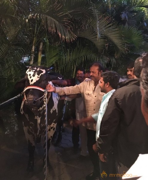 Mohan Babu visited Bull Show Event Stills