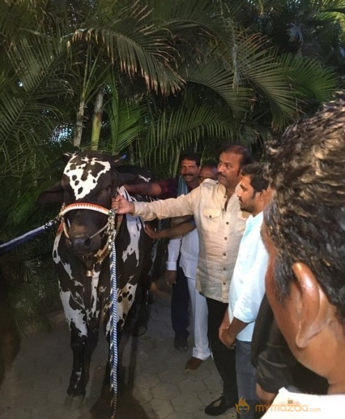 Mohan Babu visited Bull Show Event Stills