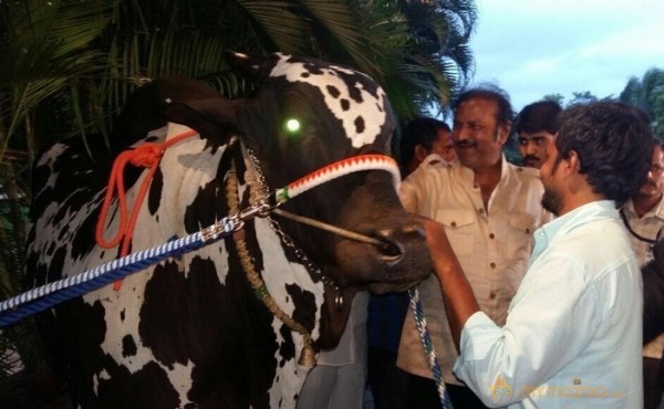 Mohan Babu visited Bull Show Event Stills