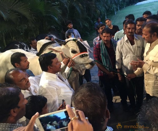 Mohan Babu visited Bull Show Event Stills