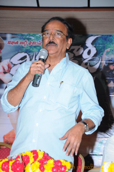 Mr Rowdy Movie Audio Launch Photos 