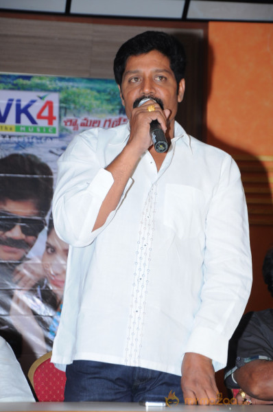 Mr Rowdy Movie Audio Launch Photos 