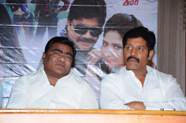 Mr Rowdy Movie Audio Launch Photos 