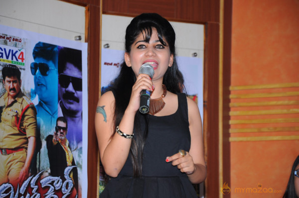 Mr Rowdy Movie Audio Launch Photos 