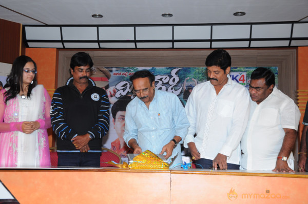 Mr Rowdy Movie Audio Launch Photos 